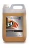 Zobrazit detail produktu - CiF Professional na podlahy - 5 l Obrázek CiF Professional na podlahy - 5 l