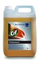Zobrazit detail produktu - CiF Professional na podlahy - 5 l Obrázek CiF Professional na podlahy - 5 l