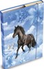 Zobrazit detail produktu - Desky na sešity - A4 box s gumičkou / mix motivů Obrázek Desky na sešity - A4 box s gumičkou / mix motivů