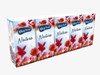 Zobrazit detail produktu - Kapesníčky papírové Big Soft - třívrstvé / 10 x 10 ks Obrázek Kapesníčky papírové Big Soft - třívrstvé / 10 x 10 ks