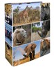 Zobrazit detail produktu - Pořadač A4 pákový lamino - hřbet 7 cm / Afrika Obrázek Pořadač A4 pákový lamino - hřbet 7 cm / Afrika