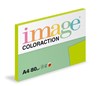 Obrázek Xerografický papír BAREVNÝ - Java / středně zelená / 100 listů / MA42