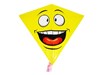 Obrázek Drak Smiley / 68 x 73 cm