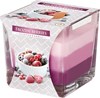 Obrázek Vonná svíčka tříbarevná -  Frozen Berries